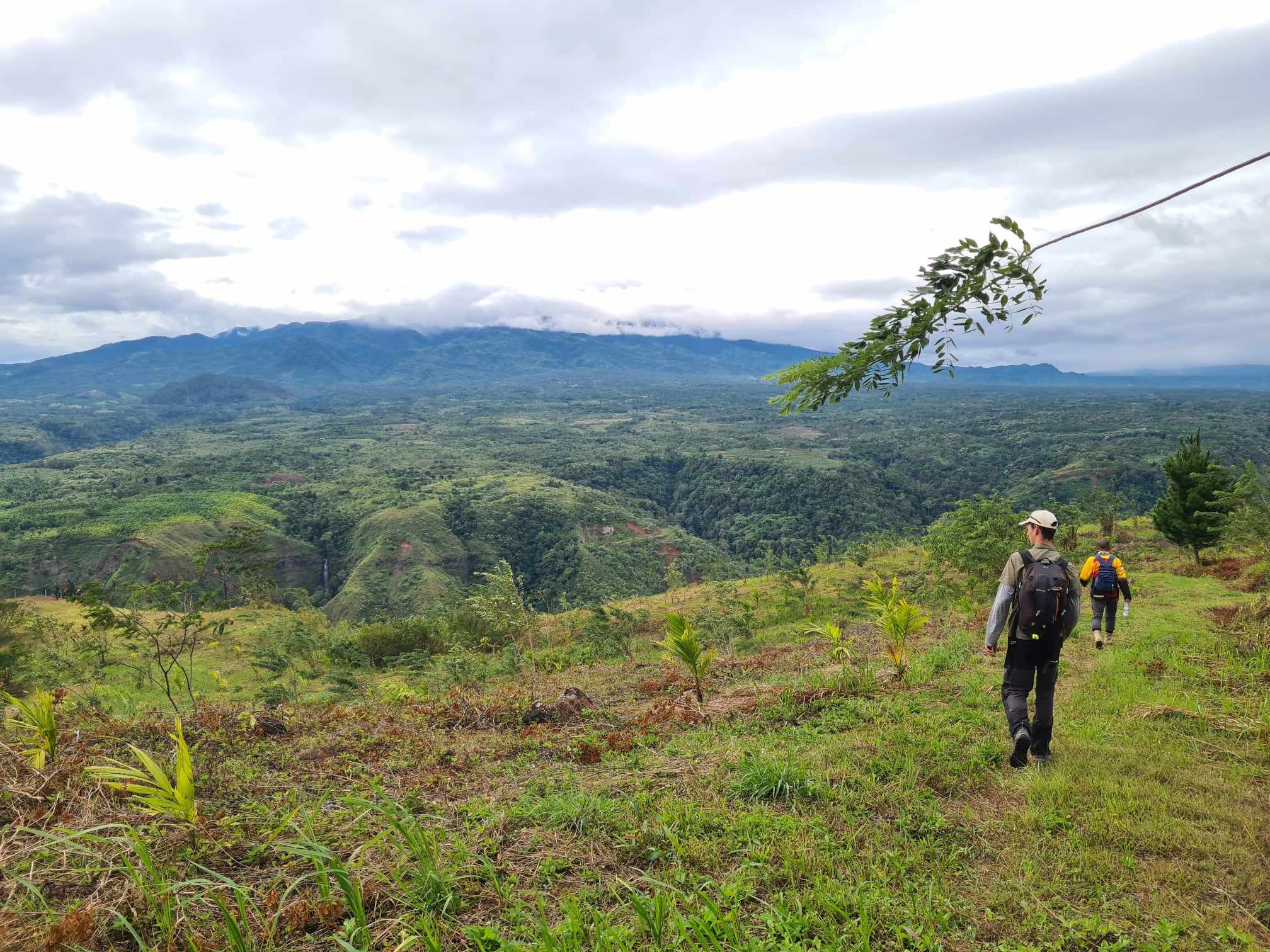 Devant l'écosystème de Peusangan, lieu où Harapan souhaite s'installer © Aurélie Bur