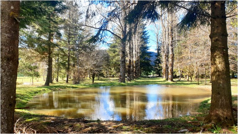 La mare de l'Arboretum de Villard-de-Lans vandalisée: "C'est un comportement un peu idiot"