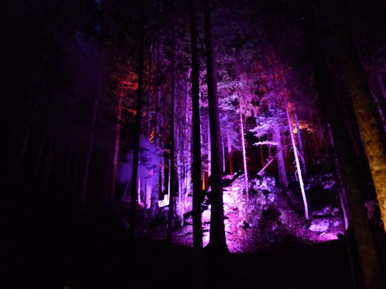 Vercors en Lumières, expérience lumineuse et sensorielle nocturne débutée à l'été 2025 à Bois barbu à Villard de Lans. Photo : Paul Turenne - Placegrenet.fr
