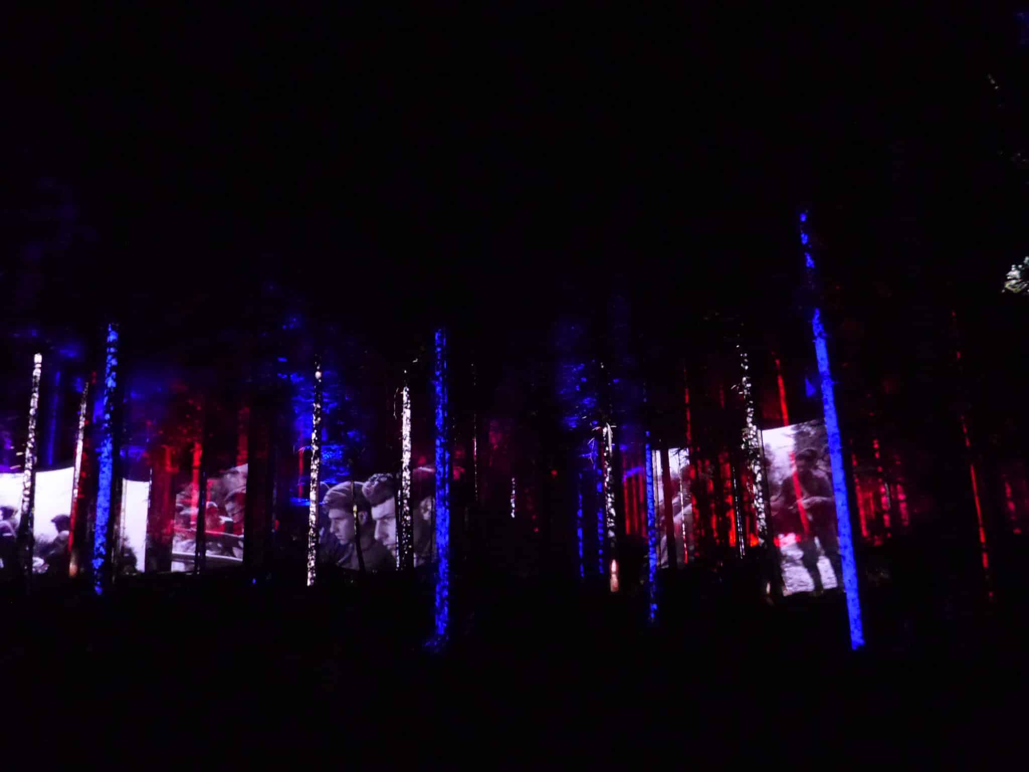 Vercors en Lumières, expérience lumineuse et sensorielle nocturne débutée à l'été 2025 à Bois barbu à Villard de Lans. Photo : Paul Turenne - Placegrenet.fr