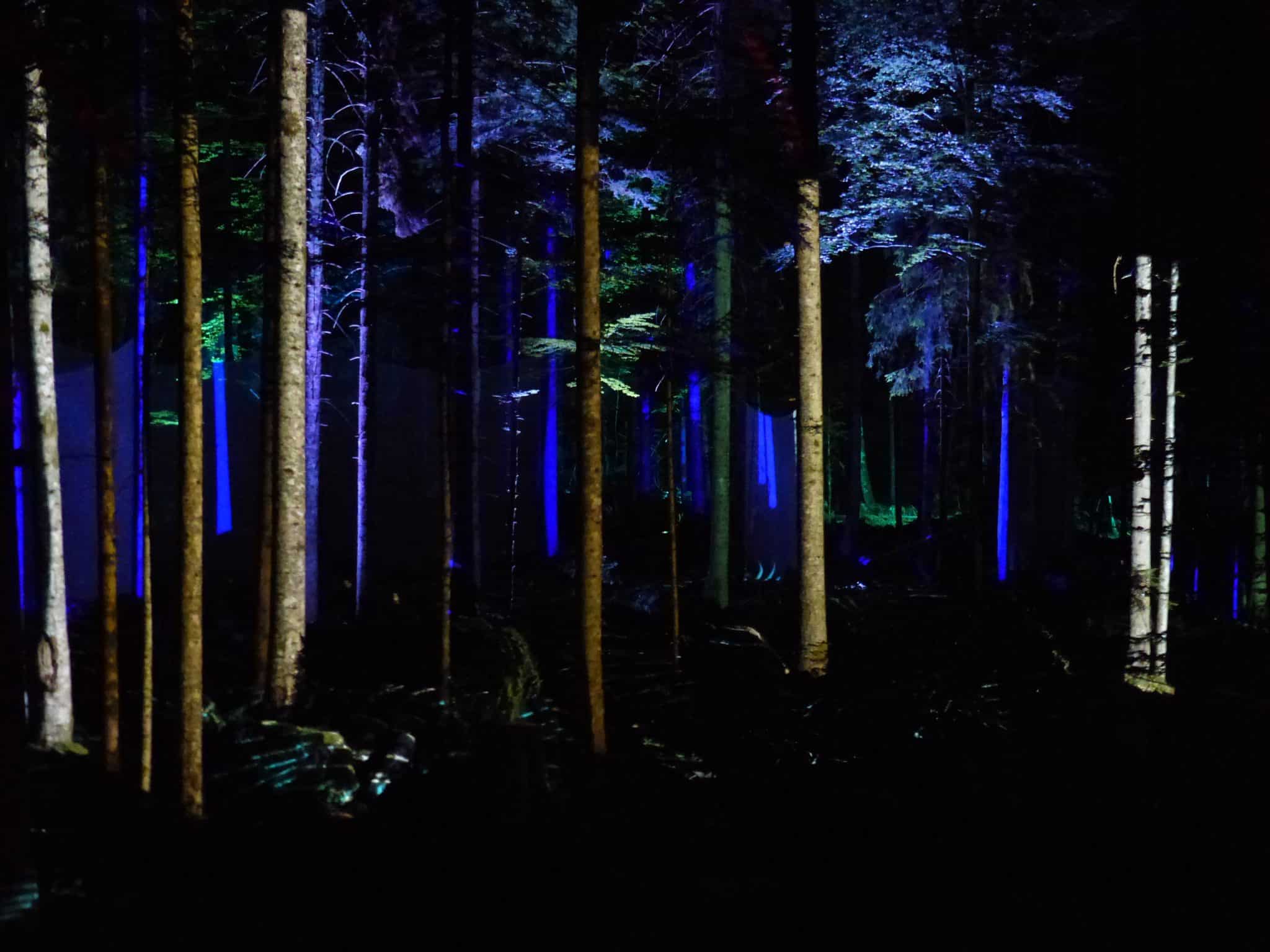 Vercors en Lumières, expérience lumineuse et sensorielle nocturne débutée à l'été 2025 à Bois barbu à Villard de Lans. Photo : Paul Turenne - Placegrenet.fr