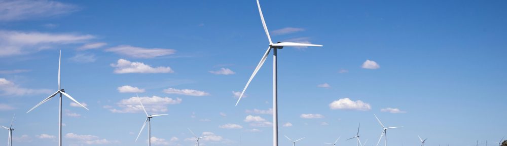 L'Isérois Gabriel Ullmann lance l'alerte sur les dangers de trois parcs éoliens pour les populations de chauves-souris