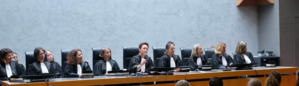 Dix nouveau magistrats du siège et du parquet installés au cours d'une audience solennelle du tribunal judiciaire de Grenoble. © Joël Kermabon - Place Gre'net