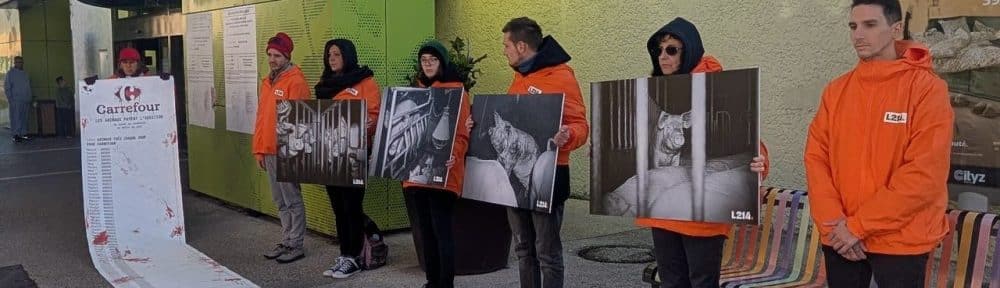 « Le seul cadeau qu’on veut : -50 % d’animaux tués », demandent aux enseignes Carrefour de 36 villes de France les militants de L214. © L214