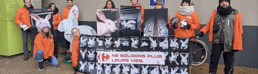 Action de L214 devant Carrefour Meylan samedi 24 janvier 2026. © L214