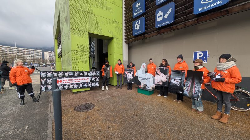Action de L214 devant Carrefour Meylan samedi 24 janvier 2026. © L214