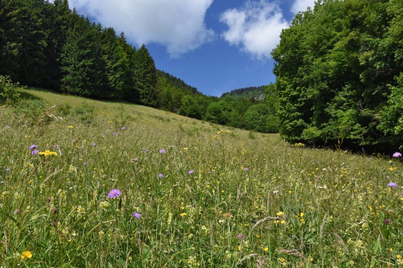 Une itinérance théâtrale pour célébrer les cabanes du Vercors