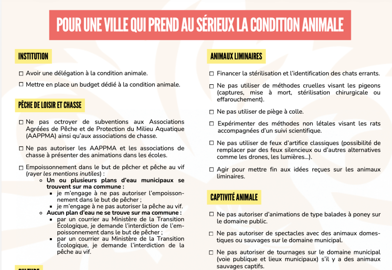 La cause animale s’invite dans la campagne municipale à Grenoble