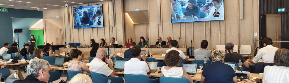 Nouvel accrochage entre Réconcilier Grenoble et LFI autour de Barbara Butch, du Cabaret frappé... et de la "judéité" "Je vous demande à la fois d'avoir des propos respectueux les uns envers les autres, mais aussi de traiter les sujets qui sont à l'ordre du jour". C'est avec ces mots que Laurence Ruffin, maire de Grenoble, a ouvert le troisième conseil municipal de son mandat le mardi 26 mai 2026. Sept heures plus tard, une délibération concernant les racks à vélo pour le Cabaret frappé allait donner lieu... à des prises de parole sur la lutte palestinienne et à un incident de séance entre les groupes d'opposition LFI et Réconcilier Grenoble.  Laurence Ruffin au poste de maire lors du conseil municipal du 25 mai 2026. © Florent Mathieu - Place Gre'net Comment en sommes-nous arrivés là? Les élus insoumis ont profité de la délibération pour (re)dire tout le mal qu'ils pensaient de la programmation de la DJ Barbara Butch à l'édition 2026 du festival. Peu satisfait de la réponse qu'avait adressé (et qu'allait répéter) l'adjoint à la Culture Alexis Monge lors d'une première interpellation, le chef de file du groupe LFI Allan Brunon a, une fois encore, interpellé l'exécutif grenoblois pour lui demander "une clarification politique". Autrement dit, soit déprogrammer l'artiste, soit rejoindre l'appel au boycott lancé par les Insoumis. 1 Barbara Butch est dans le viseur de LFI pour figurer parmi les signataires d'une tribune soutenant la proposition de loi Yadan. Un texte, depuis retiré, qui entendait faciliter les poursuites en cas de contestation du droit à exister de l'État d'Israël. Et ceci dans le but de lutter contre les "formes renouvelées de l'antisémitisme". Et qui, pour ses détracteurs, menaçait de criminaliser le soutien à la cause palestinienne. Ainsi que l'a longuement rappelé Allan Brunon, fustigeant une loi visant à "stigmatiser tout un pan de ceux qui luttent contre le génocide a Gaza". <!--yith_wcmbs_alternative_content-->
<!--yith_wcmbs_members_only_content_start-->  Violemment attaquée par des milieux identitaires ou marqués à l'ultra-droite pour avoir participé à une (prétendue) parodie de La Cène lors de la cérémonie d'ouverture des JO de Paris, Barbara Butch est aujourd'hui dans le collimateur de LFI pour avoir signé une tribune de soutien à la loi Yadan. DR Mais Allan Brunon n'a pas été le seul à prendre la parole parmi les rangs des Insoumis. Le groupe a mis les bouchées triples avec trois interventions à la suite. Celle d'Allan Brunon, suivie par celle d'Abdelnour Djebbouri et de Khemisti Boubeker. Quitte à s'autoriser quelques balles perdues, comme une en direction... des Socialistes, dont certains comme François Hollande ont également signé la tribune incriminée. Tandis que l'élue PS de la majorité Amandine Germain s'est vue reprocher d'avoir approuvé le retrait de subvention du Département à un festival isérois pour avoir programmé le rappeur Médine. Mais c'est évidemment l'État d'Israël qui était dans le collimateur. Barbara Butch, une artiste chantre de l'amour? "Est-ce qu'il y a eu de l'amour pendant la Nakba en 1947, pendant les expulsions, pendant les massacres, pendant les spoliations de terre? Est-ce qu'il y a encore de l'amour aujourd'hui lors des destructions de maisons, les expulsions, les checkpoints, l’apartheid et la colonisation en cours?", a martelé Abdelnour Djebbouri. "Lorsqu'il s'agit d'Israël, [...], les sanctions culturelles restent quasi inexistantes. On a pu le voir encore avec l'Eurovision", a rajouté Khemisti Boubeker. 2 L'élue du groupe Réconcilier Grenoble Émilie Chalas a, par la suite, pris la parole pour commenter la prise de position de LFI. "Le sujet au fond, ce qui amène à chaque La France Insoumise à s'exprimer, c'est la question du judaïsme. [...] Dès qu'il y a un sujet vis-à-vis d'Israël ou de la judéité sous toutes ses formes, il y a LFI au rendez-vous pour répéter ses éléments de langage", a lancé la conseillère municipale d'opposition. Quitte à scandaliser ses collègues insoumis, lesquels ont quitté la salle du conseil municipal. Résultat? Deux suspensions de séances successives, Émilie Chalas réitérant ses propos à la fin de la première.  Émilie Chalas lors de sa prise de parole. © Ville de Grenoble "Je vais faire consigner au procès-verbal les propos qui ont été tenus et qui n'ont pas lieu d'être dans cette institution. Je tiens à ce que les propos soient respectueux", a tancé Laurence Ruffin sans préciser quels propos étaient visés. Et la maire de rappeler que le sujet portait initialement sur la question des racks à vélo, comme elle l'avait une première fois... au moment de la prise de parole d'Émilie Chalas. "Je ne sais pas pourquoi c'est moi que vous interrompez", lui avait rétorqué l'élue avec une certaine ironie. Il est vrai que les élus LFI comme ceux de la majorité avaient eu auparavant tout le loisir de s'exprimer, sans éprouver la patience de la maire. 3 Aux tensions et incidents de séance sont venus s'ajouter... le duel par communiqués interposés. "Émilie Chalas, élue du groupe de droite, a répété à trois reprises que nous avions un problème avec la “judéité” et le “judaïsme”. Nous avons quitté le conseil, et la maire de Grenoble a poursuivi la séance sans condamner fermement ses propos", a déclaré Allan Brunon à la suite du conseil municipal. Et d'ajouter avoir saisi la préfère de l'Isère et le procureur de la République... soit une nouvelle démarche après les tensions lors du premier conseil municipal de la mandature, le 27 mars 2026.  Les élus du groupe LFI se sont filmés sur les marches de l'Hôtel de Ville après avoir quitté la séance du conseil municipal suite aux propos tenus par Émilie Chalas. © LFI Quelques heures plus tard, c'était au tour de Réconcilier Grenoble de publier son communiqué. "Cette nouvelle polémique apparaît avant tout comme un coup de communication orchestré par Allan Brunon et son groupe, dans une logique permanente de dramatisation, de tension politique et de polarisation des débats autour de sujets nationaux qui sont éloignés des sujets concernant la gestion municipale", ont estimé les élus du groupe d'opposition. Réconcilier Grenoble n'a pas manqué de dénoncer (encore) un "deux poids deux mesures" de la part de Laurence Ruffin. Laquelle "a choisi de suspendre immédiatement la séance, donnant le sentiment de céder systématiquement aux mises en scène et aux pressions politiques du groupe LFI", considèrent les élus. Et de revenir sur la séance où eux-mêmes avait été traités de "nazis" par Allan Brunon: Malgré la gravité extrême de ces propos condamnables, aucune suspension de séance n’avait été accordée afin de réunir les présidents de groupe et d’apaiser les échanges".
