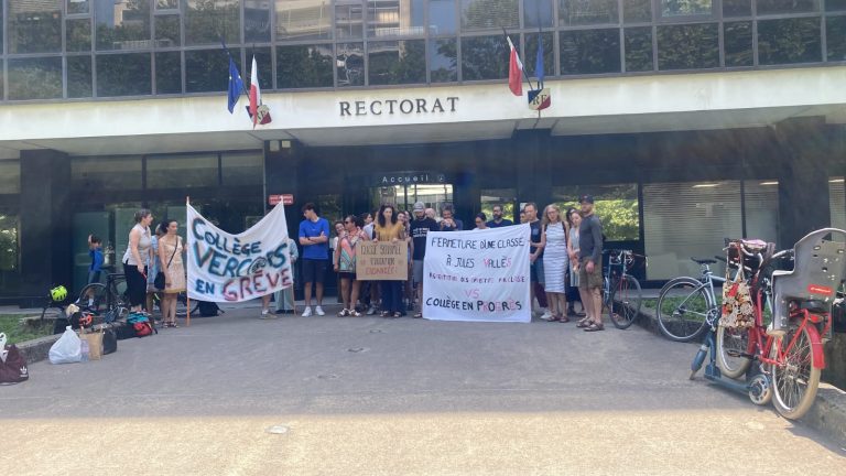 Des personnels des collèges Vercors de Grenoble et Vallès de Fontaine mobilisés devant le rectorat contre des fermetures de classes