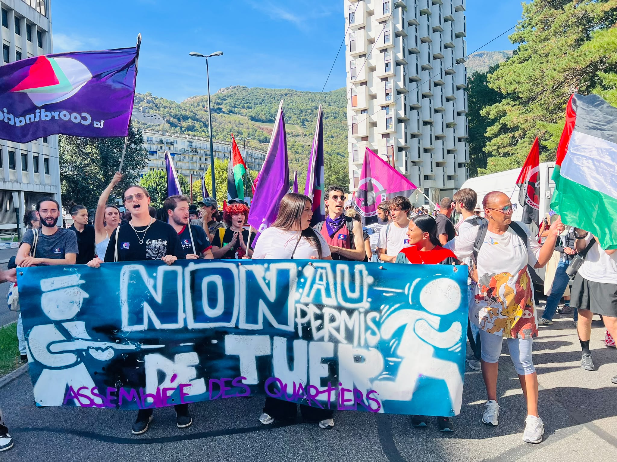 Plusieurs milliers de personnes ont manifesté contre le « permis de tuer » dans les rues de Grenoble