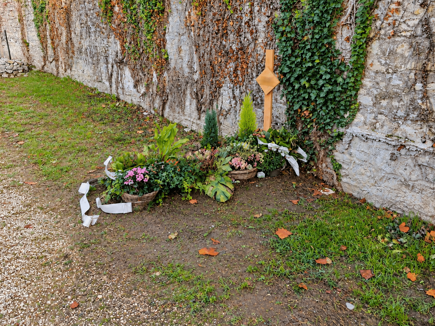 Une première tombe a été aménagée au cours de l'été 2026 au sein de l'espace dédié à l'inhumation naturelle du cimetière Saint-Roch, à Grenoble. © Joël Kermabon - Place Gre'net
