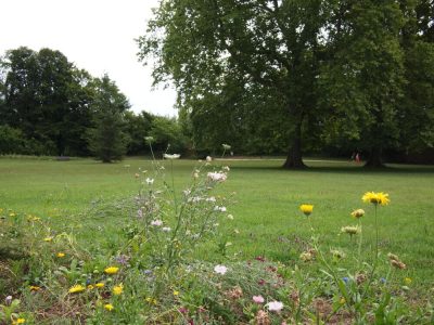 Le concours Capitale française de la Biodiversité révèle ses lauréats, sans la Métropole pourtant candidate