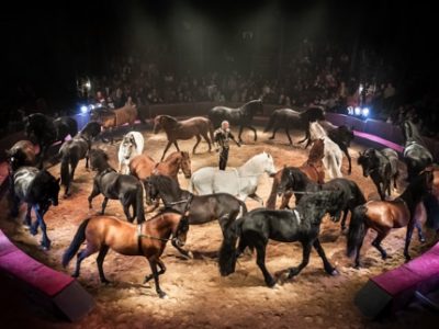 Spectacle "Quintessence" (cirque Alexis Gruss et compagnie des Farfadais). © Time to film