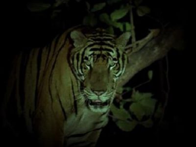 XXe rencontres du cinéma ethnographique à Grenoble