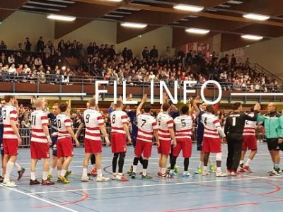 Après avoir obtenu le feu vert des instances du handball français, le Grenoble - Saint-Martin-d'Hères-Guc jouera bien en deuxième division lors de la saison 2018-2019. © GSMH-Guc
