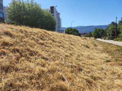 La sécheresse se maintient en Isère avec trois secteurs placés en niveau crise... en attendant une amélioration de la situation?