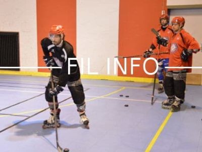 Le roller-hockey est l'une des 30 activités sportives à découvrir lors de la fête des sports organisée par l'OMS de Grenoble, le 25 juin 2017. © Laurent-Genin