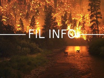 L'association de protection de la nature Le Pic Vert réclame une suspension de toutes les opérations de brûlage de végétation en Isère.