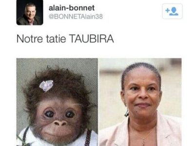 Tweet d'Alain Bonnet reprenant la photo de Christian Taubira et du petit singe.