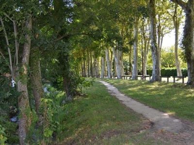Varces Allee des platanes