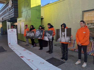 « Le seul cadeau qu’on veut : -50 % d’animaux tués », demandent aux enseignes Carrefour de 36 villes de France les militants de L214. © L214