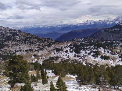 hauts plateaux du vercors