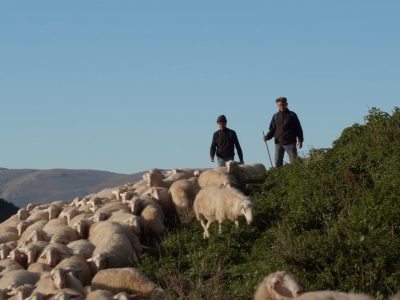 vivre avec les loups