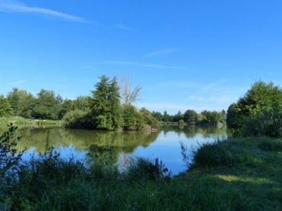 Le Département de l'Isère veut préserver les étangs... et développer une filière poisson